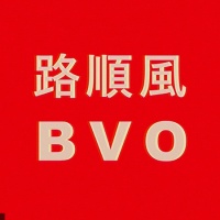 Bon Voyage Organisation en concert