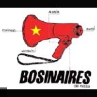 Les Bosinaires De Nissa en concert