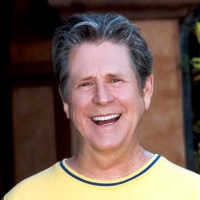 Brian Wilson en concert