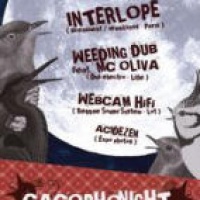 Cacophonight