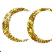 Camp Claude en concert