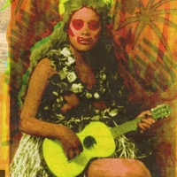 Cannibales & Vahin&eacute;s en concert