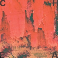 Cheatahs en concert