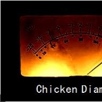 Chicken Diamond en concert