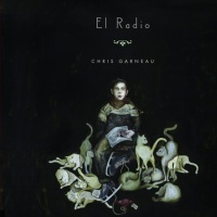 Chris Garneau en concert