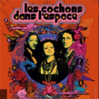 Les Cochons Dans L'Espace en concert