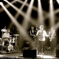 Le Comptoir des Fous en concert
