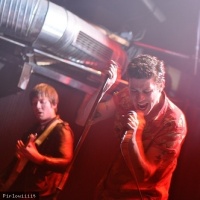 Crocodiles en concert