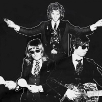 Daddy Long Legs en concert