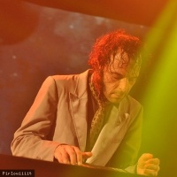 Daedelus en concert