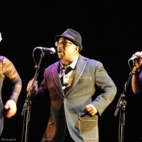 Dale Blade en concert