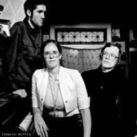 Dark Dark Dark en concert