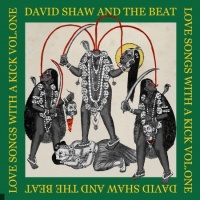 David Shaw and The Beat en concert