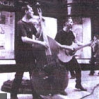 Dead Plants en concert