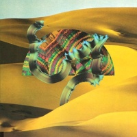 Django Django en concert