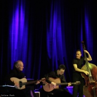 Djangology en concert