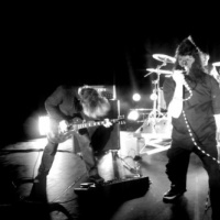 Doctor Zaius en concert