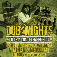 Festival Dub2nights 