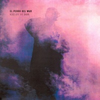 El Perro Del Mar en concert