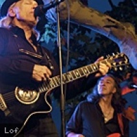 Elliott Murphy en concert