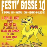 Festi'Bosse