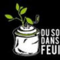 Du Son Dans Les Feuilles