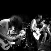 For Damage en concert