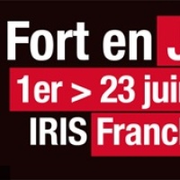 Fort en Jazz Festival