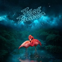 Fugu Mango  en concert