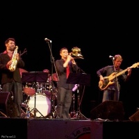 S.F. Funkestra en concert