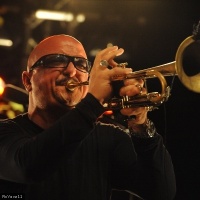 Giovanni Falzone en concert