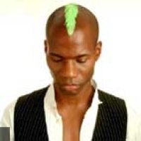 Green Velvet en concert