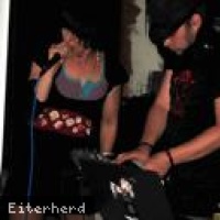 The Incredible Hexadecibels en concert