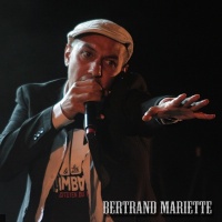 HK & les Saltimbanks en concert