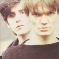 The House Of Love en concert