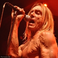 Iggy Pop en concert