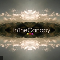 In The Canopy en concert