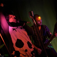 Jack, Dope & Noise en concert