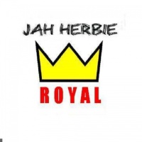Jah Herbie en concert