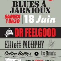 Nuit du Blues de Jarnioux