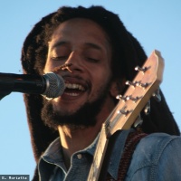 Julian Marley en concert