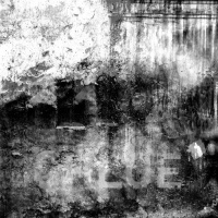 Julien Fortier en concert