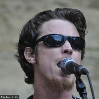 Jungle Fever en concert