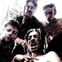 La Belle Bleue en concert