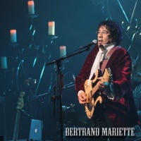 Laurent Voulzy en concert