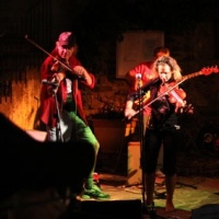 Les Ballyshannons en concert