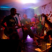 Les Cocks en concert