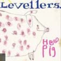 The Levellers en concert