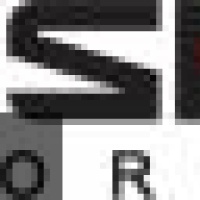 Shrink Orchestra en concert