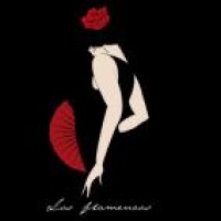 Los Flamencos en concert